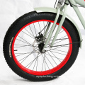 Merrygold Hot-Sale New OEM Aluminum Alloy Electric Bike